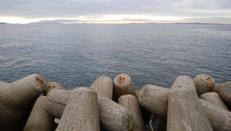 ジグサビキとワインド