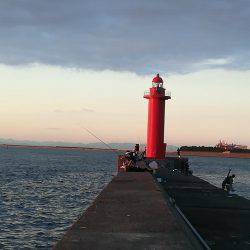 太刀魚リベンジ