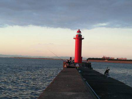 太刀魚リベンジ