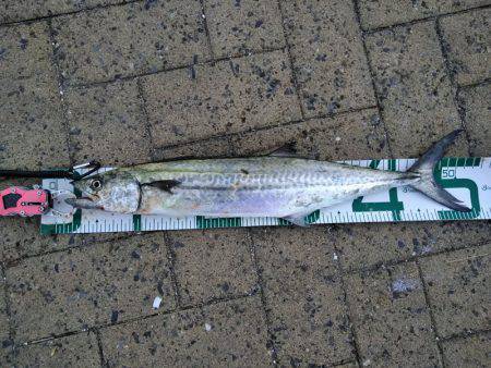 釣りにおいてのモラル、マナーについて。