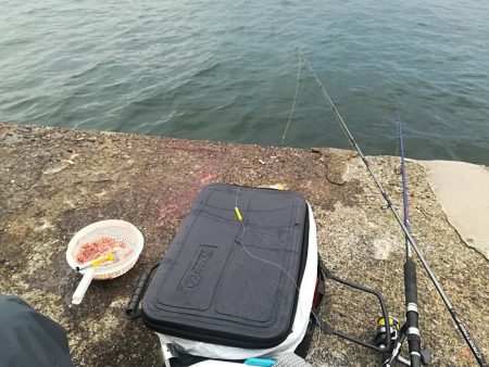 潮が動かない中、先週に続き