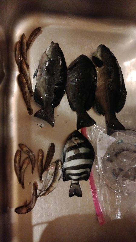 城ケ島へ初上陸！！