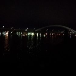 タチウオまずまず・・・