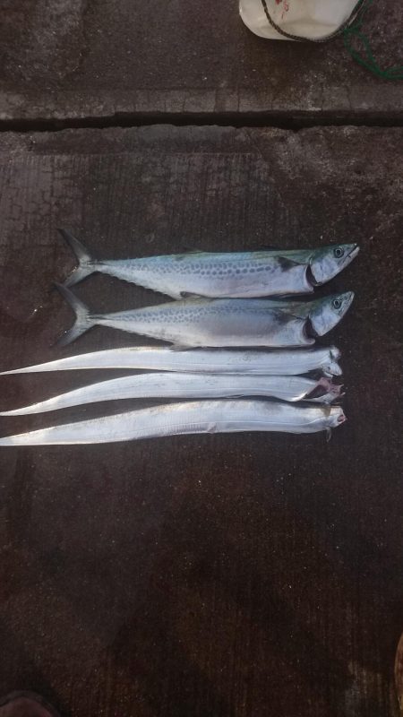 教えたくない！