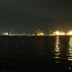 太刀魚上向いていくかなぁ〜