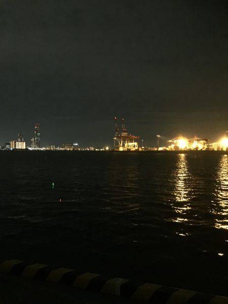 太刀魚上向いていくかなぁ〜