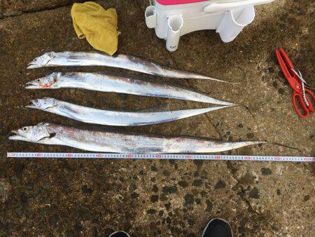 ドラゴンサイズ