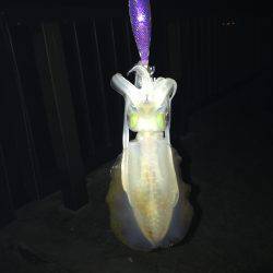 ゲキ渋 ワインドアンドエギング