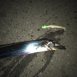 まぁまぁのサイズ