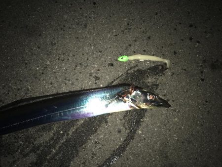 まぁまぁのサイズ