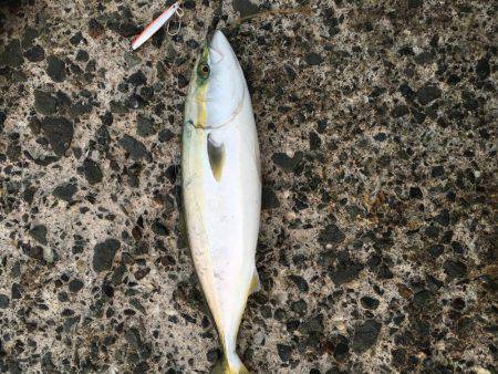 初めての投稿です(*\'▽\&#…