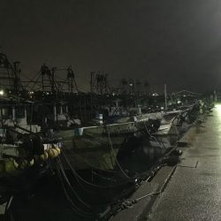 台風前の突撃！