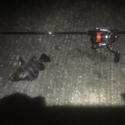 メバリングは難しい