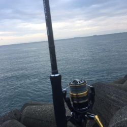 テトラは怖ぇなぁ