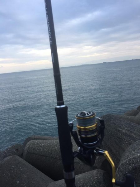 テトラは怖ぇなぁ