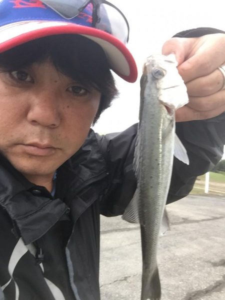 城南島で魚釣り。