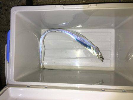 日没直後にきました