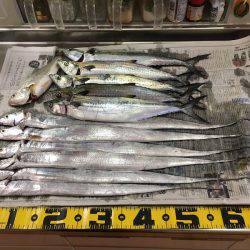 ワインド、ジギングで三目釣り