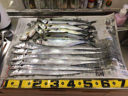 ワインド、ジギングで三目釣り