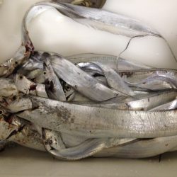 パターン違いでもなんとか