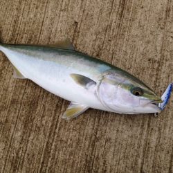 フックは大事!!!