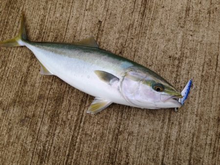 フックは大事!!!