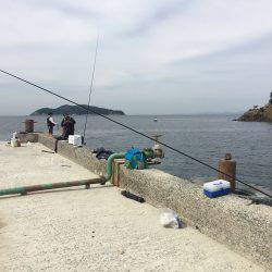 浮きフカセ釣り