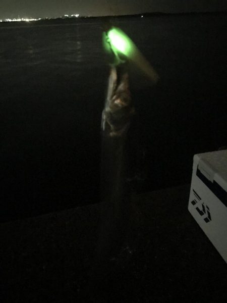 来てますね(o^^o)