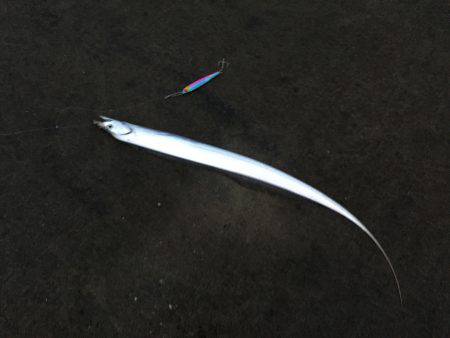 小太刀ですが……