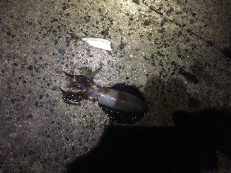 当たりは有るのに