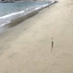 エギングからのキス釣り