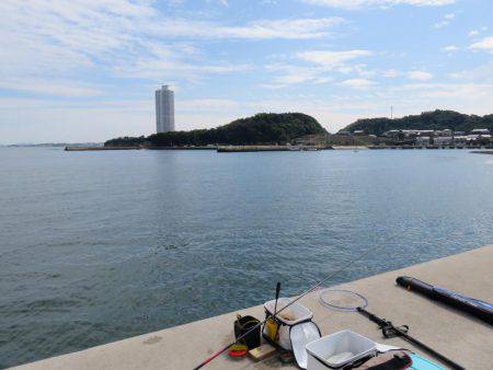 そろそろメバルも視野に入れましょうか