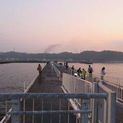 豊浜→師崎方面