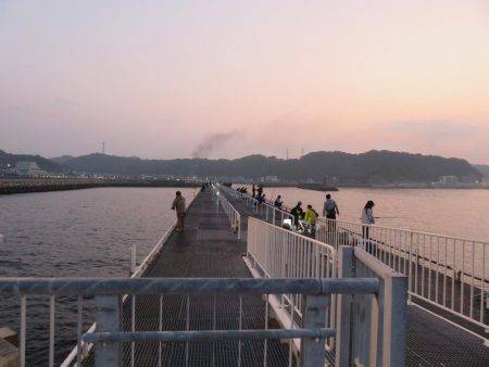 豊浜→師崎方面