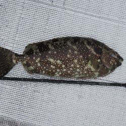 防寒装備を忘れずに