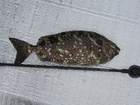 防寒装備を忘れずに