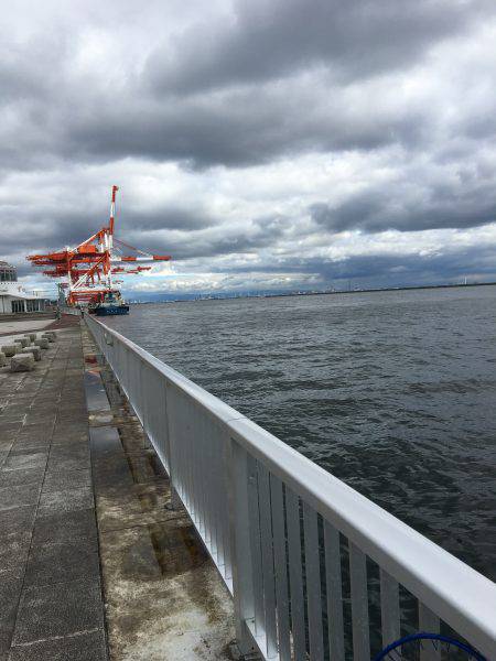 サゴシ&太刀魚調査