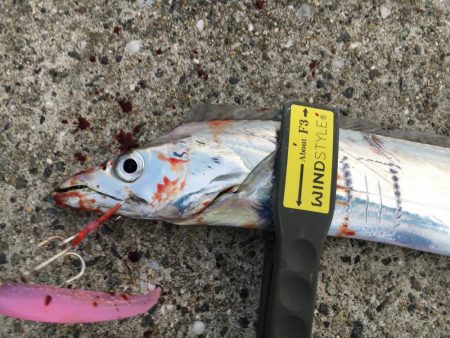 場所ムラ激しい