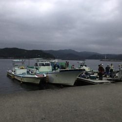 青モノ目指して