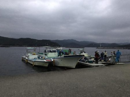 青モノ目指して