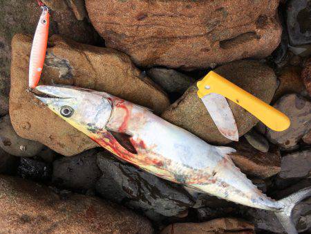 バラシまくり！