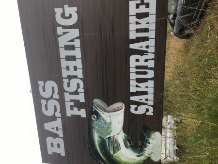 桜池はトレーニングに最適⁉︎