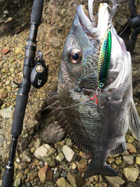 大村湾ショアスロー