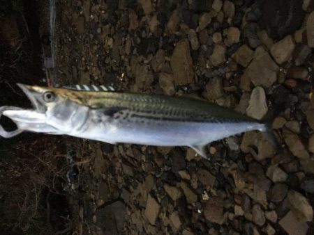 あとちょっとが届かない