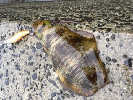 雨と強風のなか