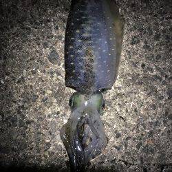 西流れが難しい