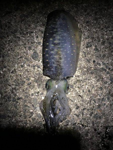 西流れが難しい