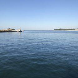 ワインドで激シャクリ