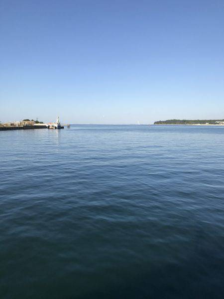 ワインドで激シャクリ