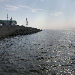 今年初武庫川一文字！